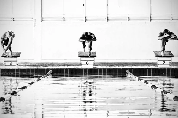 수영장에 뛰어드는 선수들 — 스톡 사진