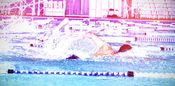 Κολυμβητές Κολυμπούν Στην Πισίνα — Φωτογραφία Αρχείου