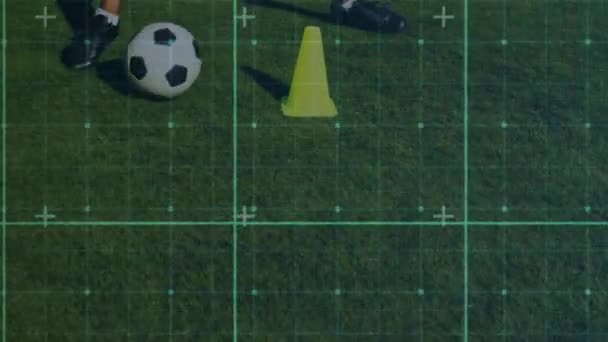 三次元グリッド上の接続点のネットワークのアニメーションで 背景のサッカーピッチ上のサッカー選手のトレーニングの低セクション — ストック動画