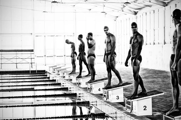 Swimmers Ready Plunge — Stock Photo, Image