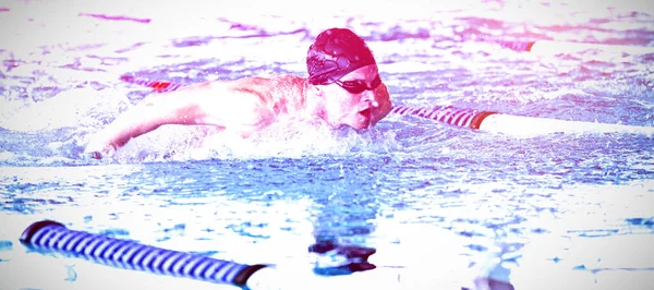 Плавець Плаває Басейні — стокове фото