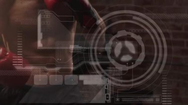 Veri işleme, tarama ve analizlerin animasyonu, arka planda beyaz erkek boksör eğitimi