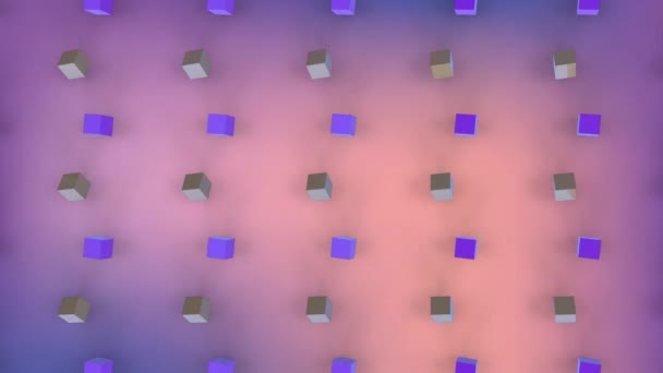 Animación Cubos Metálicos Blancos Morados Moviéndose Formación Sobre Fondo Morado — Vídeo de stock