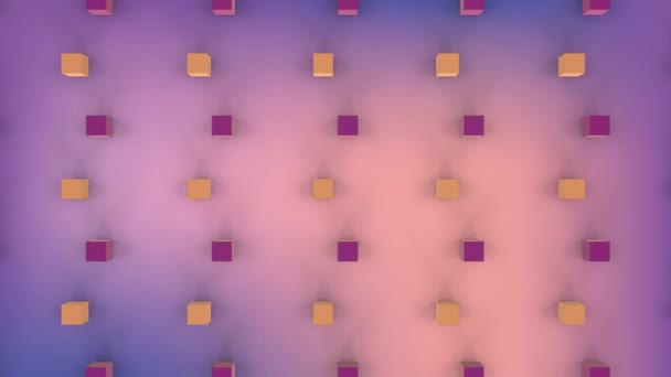 紫丁香背景下3D个白色和紫色立方体形成的动画 — 图库视频影像
