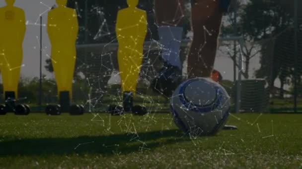サッカー選手の低部とのネットワーク接続 — ストック動画