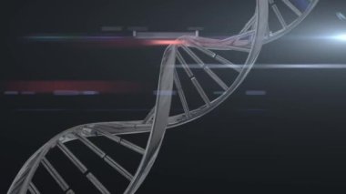 3D metalik gri DNA iplikçiklerinin animasyonu siyah parlak arkaplanı açıyor. Küresel bilim 3d dijital tasarım kompozit video canlandırması.