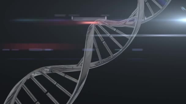 Animação Fio Dna Cinza Metálico Girando Sobre Fundo Brilhante Preto — Vídeo de Stock