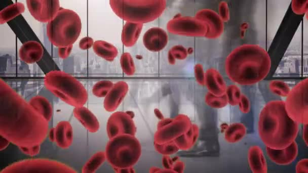 Animation Red Macro Red Blood Cells Spreading Floating People Walking — Stock Video
