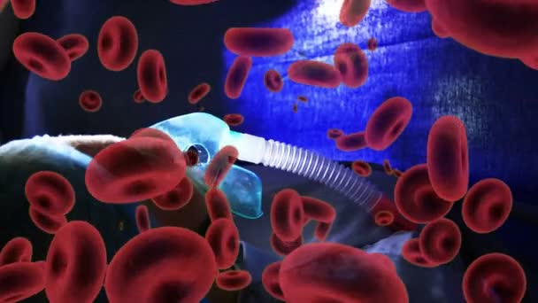 Animation Red Macro Red Blood Cells Spreading Floating Close Medical — Stock Video