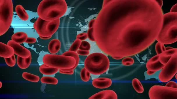 宏观红血球的动画传播和漂浮 人物形象出现在世界地图上的背景 全球卫生警报恐慌传播感染概念数字组合 — 图库视频影像
