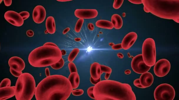 Makro Kırmızı Kan Hücrelerinin Animasyonu Yayılıyor Yüzüyor Arka Planda Dönen — Stok video
