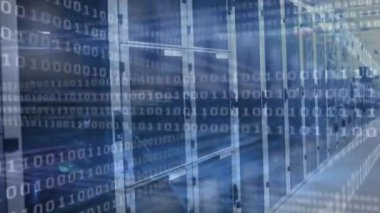 Bir sunucu odasındaki bilgisayar sunucuları ağından akan ikili kodlama, veri işleme ve dijital bilginin animasyonu. 