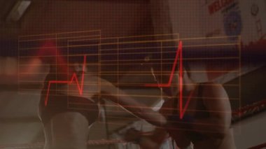 Veri işleme ve istatistiklerin animasyonu arka planda iki bayan atlet boksörle kalp atış hızını kaydediyor..