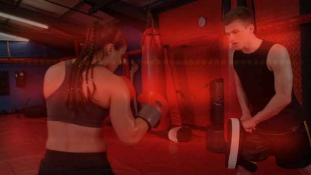 Animación Procesamiento Datos Registro Estadístico Con Atleta Kick Boxer Femenina — Vídeos de Stock