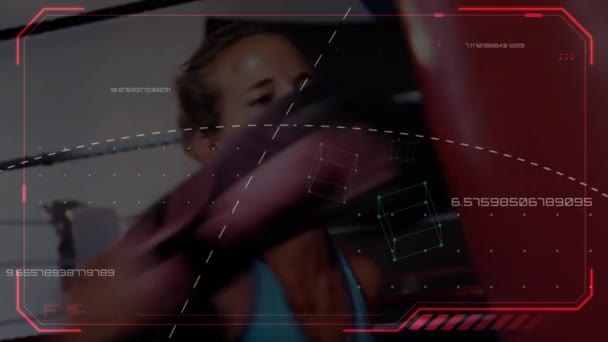 Animación Red Conexiones Procesamiento Datos Registro Estadístico Con Boxeador Femenino — Vídeo de stock