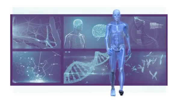 背景にある磁気共鳴画像法スキャン画面の前を歩く人間の3Dブルーモデルのアニメーション グローバル医療科学研究ネットワークデジタル生成画像 — ストック動画