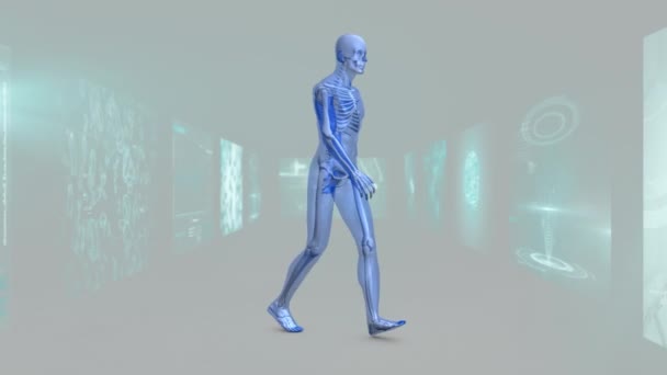 Animación Del Modelo Azul Caminar Humano Pasillo Las Pantallas Exploración — Vídeos de Stock