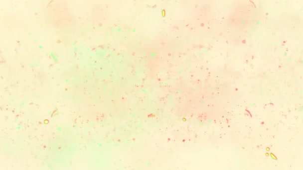 Animation de vieux film rétro vintage se déplaçant sur boucle transparente en répétition avec interruption. Cinématographie rétro et concept d'archive cinématographique image générée numériquement .