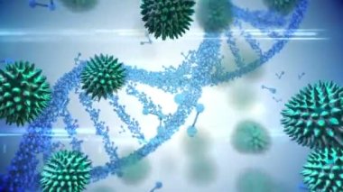 Mavi çift sarmal DNA iplikçiklerinin dönüşünün ve koronavirüs hücrelerinin beyaz arka planda akış ve yayılışının animasyonu. Tıbbi halk sağlığı salgını koronavirüs salgını konsepti dijital olarak oluşturuldu.