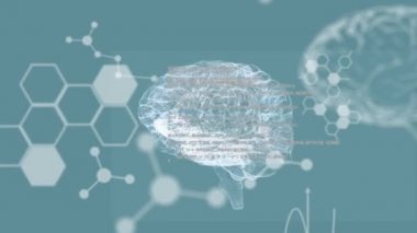 Mavi arka planda veri işleme ve moleküllerle kusursuz döngü içinde dönen 3D parlayan beyaz insan beyninin animasyonu. Tıp nörolojisi ve veri işleme kavramı dijital olarak oluşturulmuş görüntü.