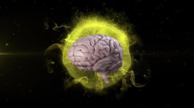 Parlayan sarı küre üzerinde kusursuz bir döngü içinde dönen 3D insan beyninin animasyonu siyah arkaplanda parçacıklar ve bulutlarla patlıyor. Tıp nörolojisi ve küresel patlama konsepti dijital olarak oluşturulmuş görüntü.