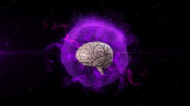 3D insan beyninin parlak mor küre üzerinde siyah arkaplanda parçacıklar ve bulutlarla kusursuz bir döngü içinde dönmesinin animasyonu. Tıp nörolojisi ve küresel patlama konsepti dijital olarak oluşturulmuş görüntü.