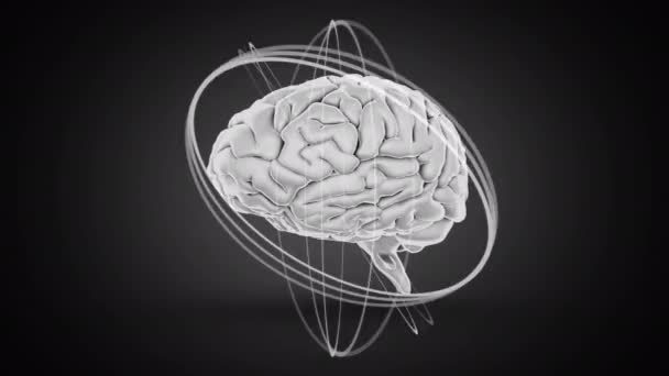 複数の白い円が動き回り 黒い背景をスキャンしながら シームレスなループで回転する3D人間の脳のアニメーション 医学神経学とデータ処理の概念デジタル生成された画像 — ストック動画