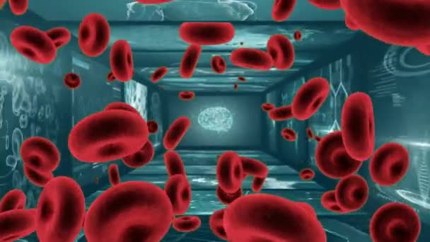 Анимация Трехмерных Макрокрасных Кровяных Телец Плавающих Над Экранами Медицинских Сканирований — стоковое видео