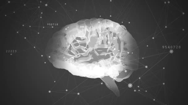 Animación Del Cerebro Humano Con Red Conexiones Sobre Procesamiento Datos — Vídeo de stock