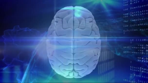 三维人脑的动画 具有数据处理 范围扫描和在明亮的蓝色背景上旋转的功能 医学神经学和全球科学数据处理概念数字化生成的图像 Coronavirus Covid19试验 — 图库视频影像