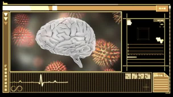 Animatie Van Het Scherm Met Menselijke Hersenen Draaien Macro Van — Stockvideo