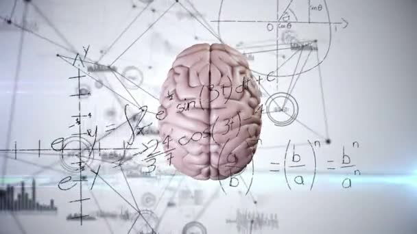 Boyutlu Insan Beyninin Dönen Bağlantı Ağı Üzerinden Animasyonu Beyaz Arka — Stok video