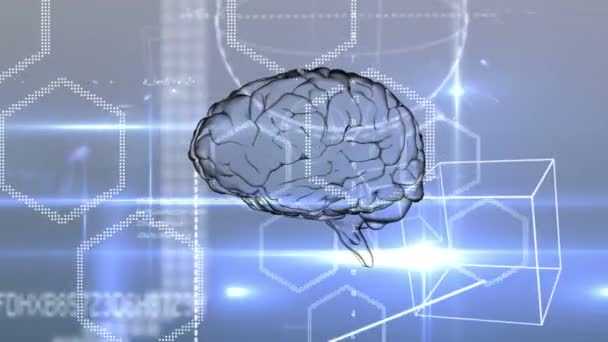 Анимация Трехмерного Человеческого Мозга Вращающегося Бесшовной Петле Над Движущимися Геометрическими — стоковое видео