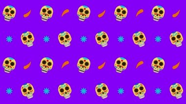 Meksika kafatasları, mavi yıldızlar ve kırmızı biberlerin mor arkaplanda dizili hallerinin animasyonu. 