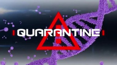 Kırmızı üçgen uyarı işareti üzerine beyaz harflerle yazılmış karantina kelimesinin animasyonu ünlem işareti, mor çift sarmal DNA iplikçikleri, hareket eden moleküller ve arka planda yayılan Coronavirus Covid-19.