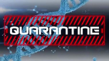 Kırmızı çerçevede beyaz harflerle yazılmış karantina kelimesinin animasyonu. Mavi çift sarmal DNA iplikçikleri dönüyor, moleküller hareket ediyor ve arka planda Coronavirüs Coviid-19 yayılıyor..
