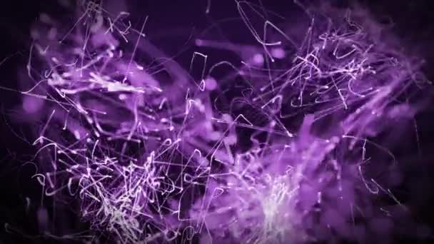 Animatie Van Hypnotische Beweging Van Meervoudige Gloeiende Paarse Abstracte Lichtsporen — Stockvideo