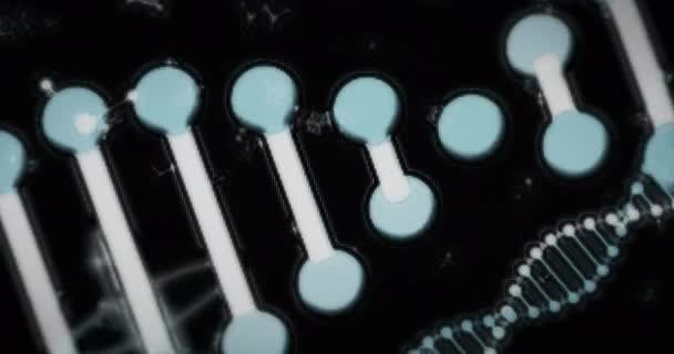 Animering Digitala Blå Och Vita Dubbla Spiral Dna Strängar Spinning — Stockvideo