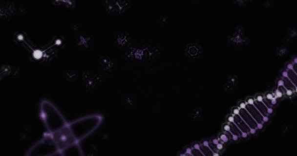 デジタル3D紫と白の二重らせんDna鎖と分子原子のアニメーションは 黒の背景に移動します — ストック動画