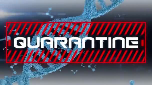 青色の二重らせんDna鎖が回転するマクロを持つ赤い枠の中に白い文字で書かれた検疫という言葉のアニメーション 分子の移動とコロナウイルス背景に広がるCoviid — ストック動画