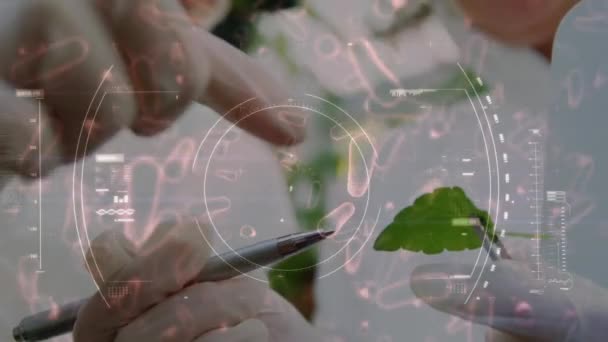 Анимация Сканирования Прицела Коронавируса Covid Распространяется Врачей Ученых Защитной Одежде — стоковое видео