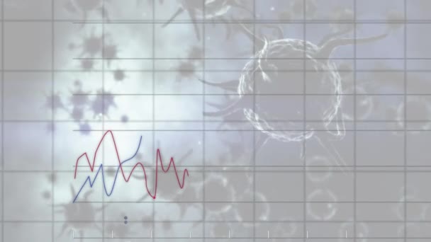 코로나 바이러스 Covid 매크로셀 애니메이션 시장에 빨간색 파란색 스티커와 그래프와 — 비디오