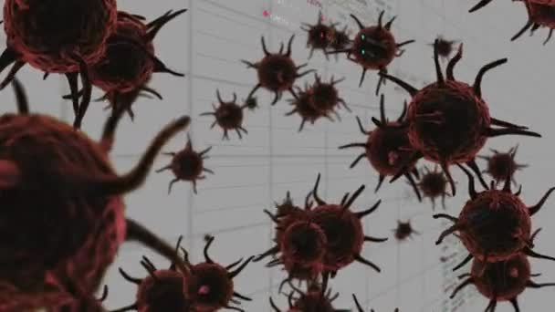 以Covid 19为背景 对大肠埃希菌Covid 19的宏褐色细胞进行了动画化 数据处理和统计学记录 全球信息医学Coronavirus Covid流行概念数字生成图像 — 图库视频影像