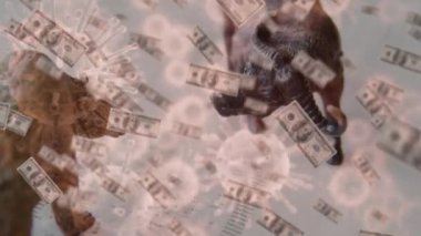 Borsa ve ayı figürlerinin animasyonu, düşen Amerikan doları banknotları, yayılan makro koronavirüs Covid-19 hücreleri..
