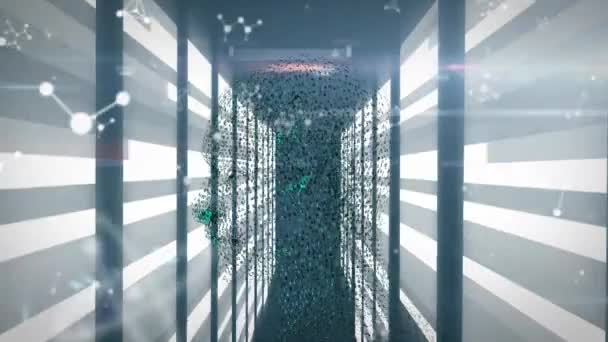 인간의 데이터 디지털 정보의 애니메이션 컴퓨터 네트워크를 흐르고 룸에서 표면에서 — 비디오
