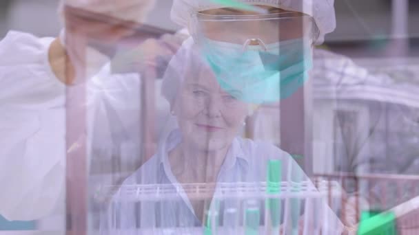 Анимация Доктора Ученого Защитной Маске Хирургических Перчатках Работающих Лаборатории Пожилая — стоковое видео