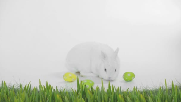 Animáció aranyos fehér húsvéti nyuszi és zöld és sárga díszített húsvéti tojás és fű fehér háttér. Húsvéti ünnepség hagyomány koncepció digitálisan generált kép.
