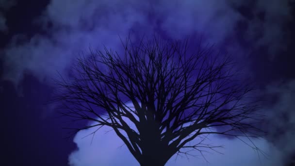 紫色の空のシームレスなループで木の黒いシルエットの上を高速で移動する白い雲のアニメーション 動きと色の概念デジタル生成画像 — ストック動画