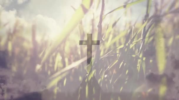 Animacja Sylwetki Chrześcijańskiego Krzyża Nad Niebieskimi Chmurami Niebie Trawą Tle — Wideo stockowe