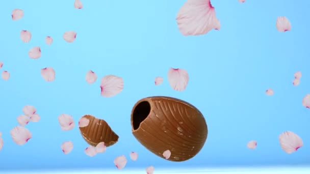 Animação Chocolate Ovo Páscoa Caindo Quebrando Várias Pétalas Flores Primavera — Vídeo de Stock